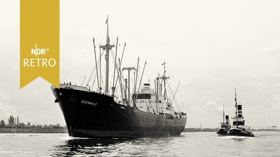 Das HAPAG-Seeschiff "Odenwald" auf der Elbe © NDR 