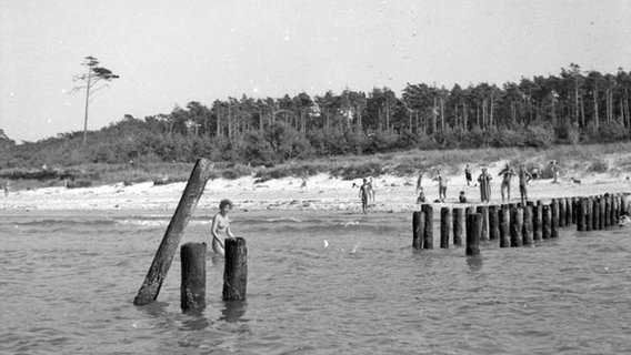 FKK-Strand mit Badenden an der Ostseeküste bei Graal-Müritz (historische Aufnahme von 1953). © Bundesarchiv / CC-BY-SA (http://creativecommons.org/licenses/by-sa/3.0/de/deed.de) 