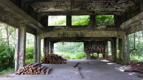 Blick in die Ruine der Werkstatt der Pulverfabrik Düneberg © NDR.de Foto: Marc-Oliver Rehrmann