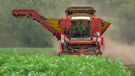 Ein Kartoffelernter von Grimme beim Einsatz. © NDR/ECO Media 