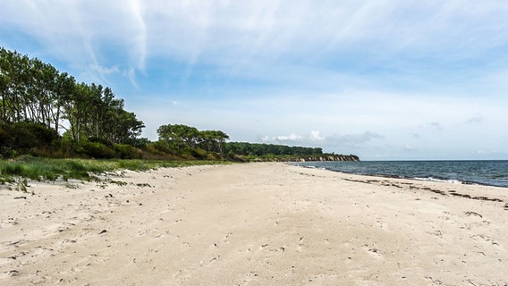 Strand auf der Halbinsel Wustrow, im Hintergrund die Steilküste. © NDR Foto: Daniel Sprenger