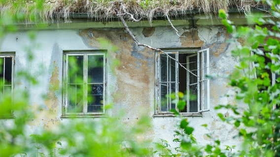 Detail eines verfallenen Hauses auf der Halbinsel Wustrow: Ein Fenster steht offen. © NDR Foto: Daniel Sprenger