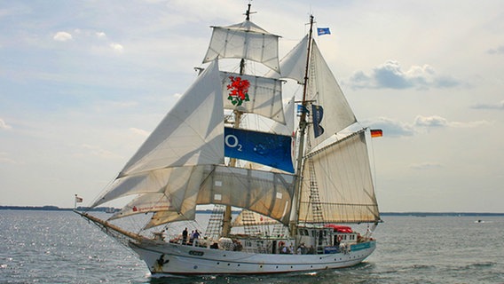 Das Schulschiff "Greif" unter vollen Segeln © Förderverein Rahsegler Greif e.V. Foto: Veronika Waschkowitz