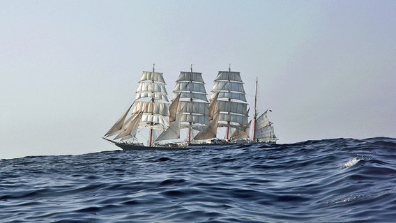 Das Segelschulschiff Sedov Das Segelschulschiff Sedov © Stema Service Foto: Vallery Vasilivsky