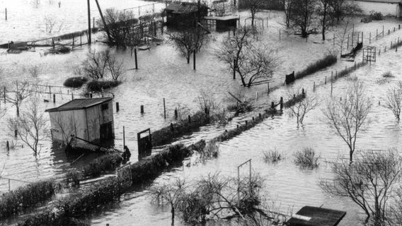 Eine Gartenlaube inmitten einer komplett überfluteten Gartenkolonie bei der Sturmflut 1962 © NDR 