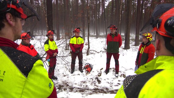 Auszubildende lernen im Wald das Handwerk der Forstwirtschaft © NDR 