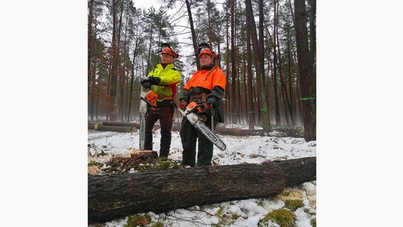 Auszubildende lernen im Wald das Handwerk der Forstwirtschaft © NDR 