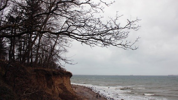 Die Steilküste an der stürmischen Stoltera © NDR Foto: Luise Neumann aus Güstrow