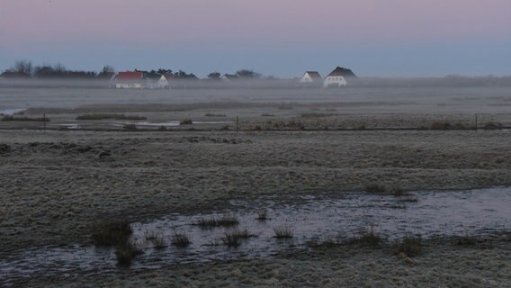Morgendunst auf Hiddensee © NDR Foto: Jana Hobe aus Rostock