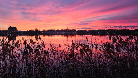 Sonnenaufgang am Schweriner Ziegelinnensee © NDR Foto: Sandra Pingel aus Schwerin