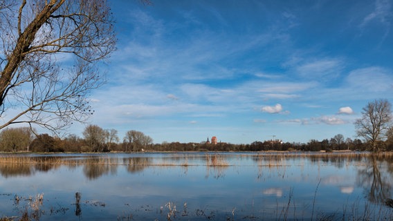 Land unter am Sumpfsee bei Güstrow © NDR Foto: Wolf-Rüdiger Struve aus Gutow