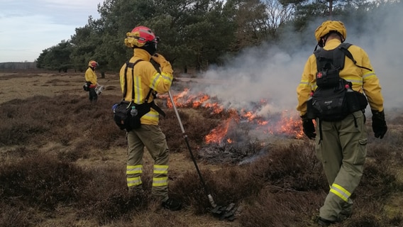 Feuerwehrmänner beobachten das Feuer auf der Retzower Heide © NDR Foto: Isabel Seifert