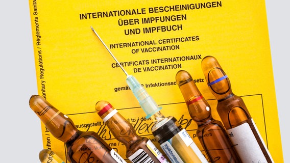 Ampullen mit Impfstoff liegen auf einem internationalen Impfausweis. © fotolia.com Foto: Alexander Raths