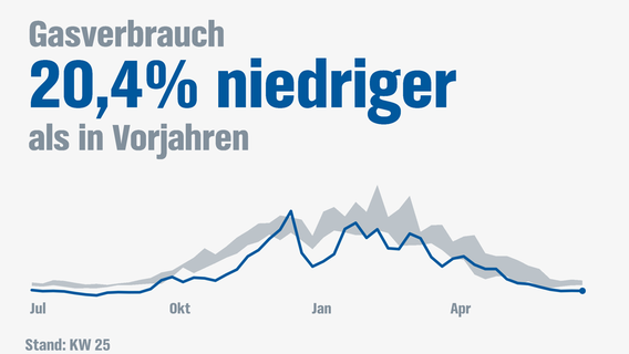 Gasverbrauch in Deutschland im historischen Vergleich © NDR 
