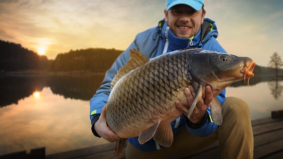 Ein Angler posiert mit einem kapitalen Karpfen für die Kamera. © fotolia.com Foto: vitaliy_melnik