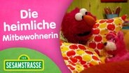Folge 2890: Thumbnail mit Elmo © NDR/Sesame Workshop 