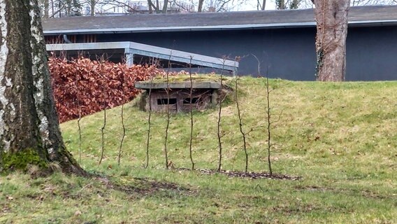 Ein ehemaliger Luftschutzbunker ist heute ein bewachsener Hügel. © Sarah Oltmanns / Kirche im NDR Foto: Sarah Oltmanns