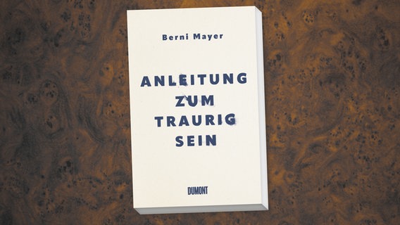Cover des Buchs "Anleitung zum Traurigsein" © Dumont Buchverlag 