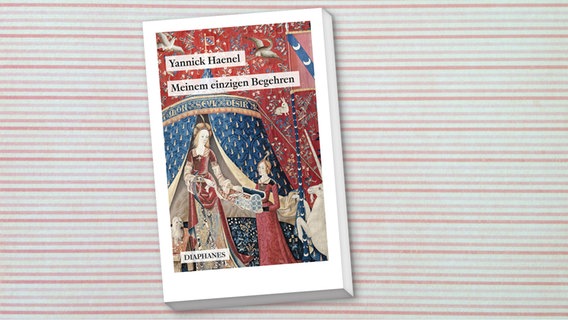 Buch-Cover: Yannick Haenel - Meinem einzigen Begehren © Diaphanes Verlag 