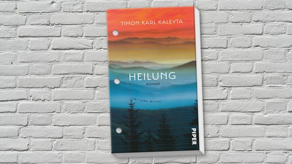 Buch-Cover: Timon Karl Kaleyta - Heilung © Piper Verlag 
