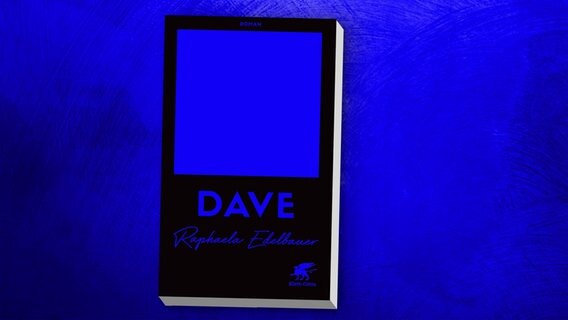 Cover des Buches "Dave" von Raphaela Edelbauer © Verlag Klett Cotta 