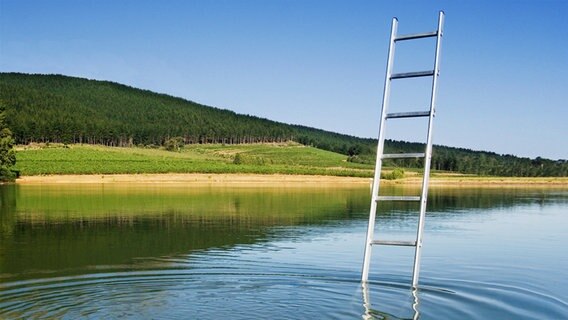 Ein Leiter steht in einem See vor hügeliger Landschaft. © OJO/plainpicture Foto: OJO/plainpicture