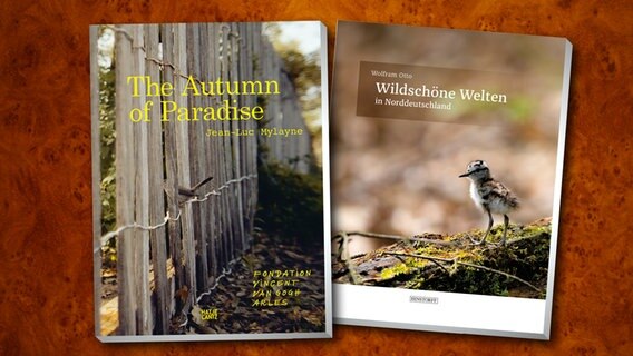 Cover-Collage von zwei Büchern zum Thema Naturfotografie © Hinstorff Verlag / Hatje Cantz Verlag 