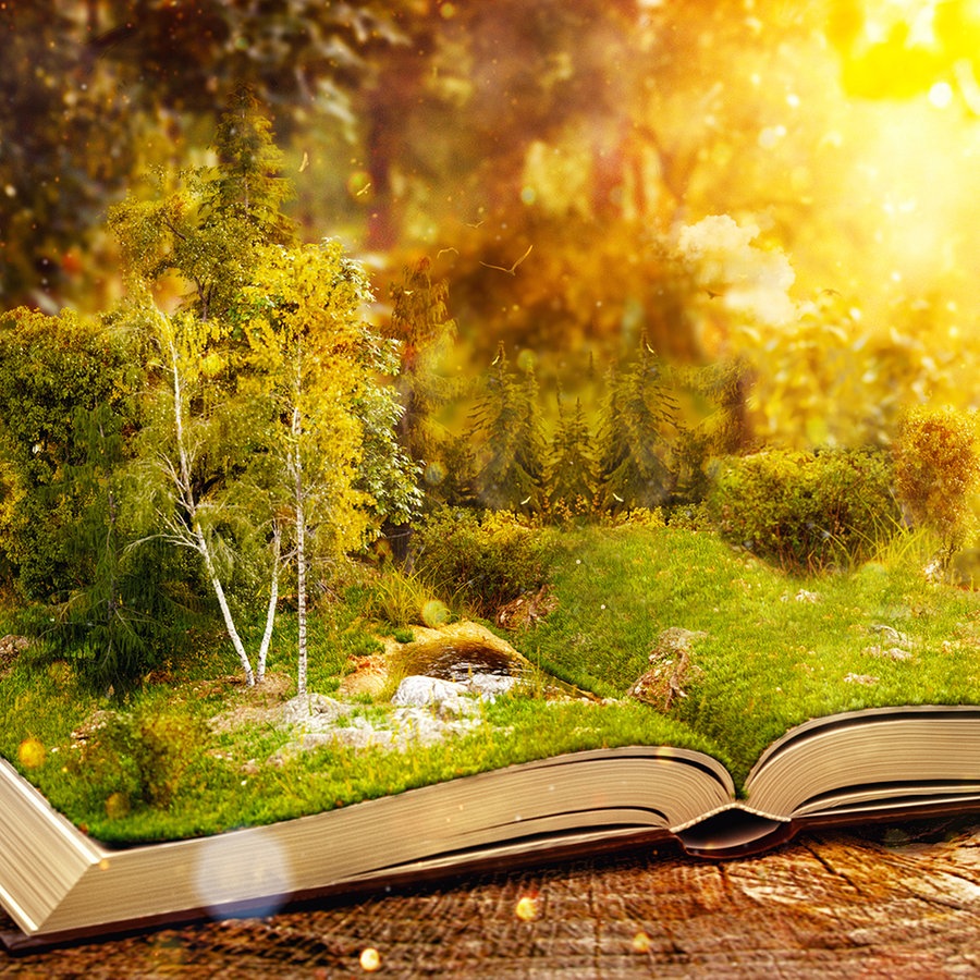 Ein aufgeschlagenes Buch liegt auf einem Baumstumpf. © fotolia Foto: determined
