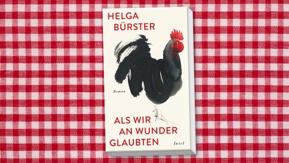 Cover von "Als wir an Wunder glaubten" von Helga Bürster © Insel 