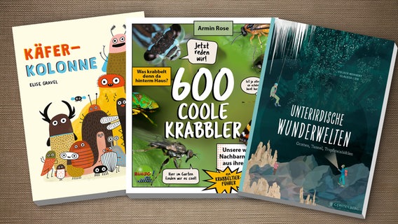 Buchcover: Käferkolonne / 600 coole Krabbler / Unterirdische Wunderwelten © Tulipan Verlag / KJM Buchverlag / Gerstenberg Verlag 