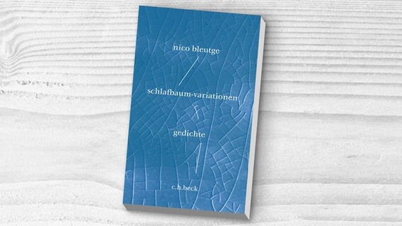 Buchcover: Nico Bleutge - schlafbaum-variationen © C.H. Verlag 