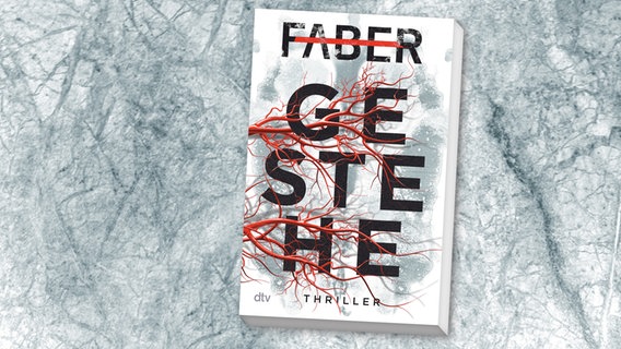 Buchcover: Henri Faber - Gestehe © dtv 