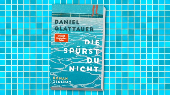 Buchcover: Daniel Glattauer - Die spürst du gar nicht © Hanser Verlag 