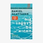 Buchcover: Daniel Glattauer - Die spürst du gar nicht © Hanser Verlag 