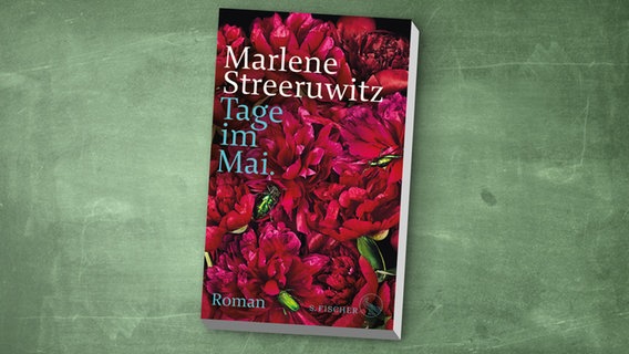 Buch-Cover: Marlene Streeruwitz - Tage im Mai © S. Fischer Verlag 