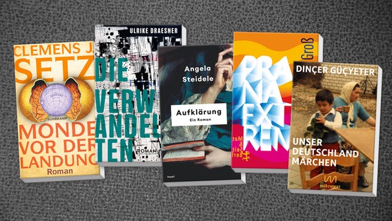 Collage der nominierten Bücher © Matthes & Seitz / Suhrkamp / Mikrotext / Penguin / Gratitude 