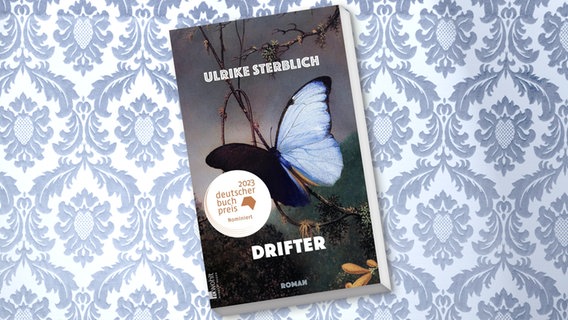 Cover Ulrike Sterblich: "Drifter" © Rowohlt Verlag 