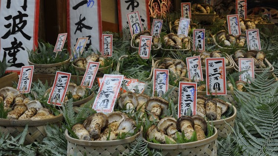 Matsutake Pilze ausgestellt in Körben auf einem Markt in Kyoto. © IMAGO / imagebroker 