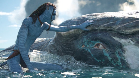 Eine Filmszene mit einem Navi und einer Art Wal aus "Avatar 2" von James Cameron © Courtesy of 20th Century Studios 