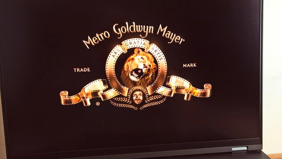 Ein Laptop zeigt eine Ansicht vom Logo der "MGM"- Metro Goldwyn Meyer mit dem fauchenden Löwen © IMAGO / Pond5 Images 
