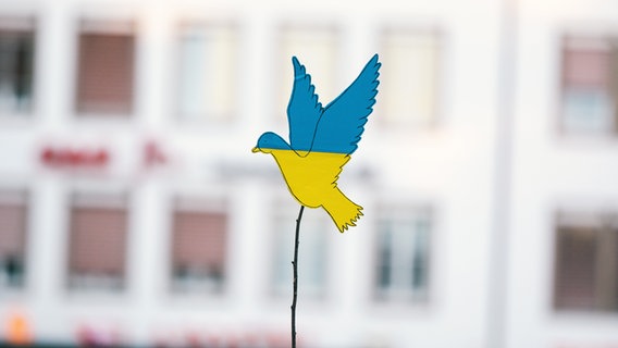 Eine Friedenstaube in den Farben der Ukraine-Flagge wird in die Luft gehalten. © picture alliance / NurPhoto Foto: Ying Tang