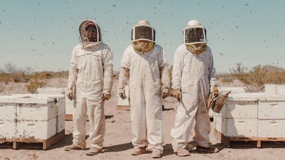 Drei Imker stehen umschwirrt von Bienen in weißen Anzügen in der Wüste © Jonas Kakó Foto: Jonas Kakó