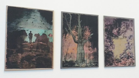 Drei surrealistische Bilder mit Naturszenen hängen in einem Ausstellungsraum. © NDR Foto: Beatrice Böse
