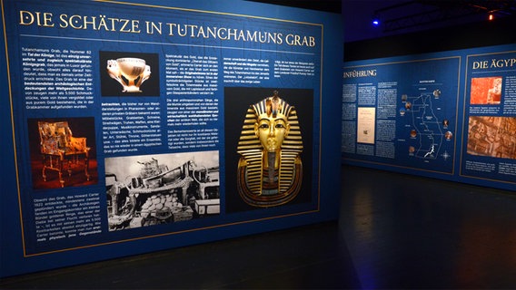 Eine große blaue Tafel mit Text und Fotos in der Ausstellung "Tutanchamun" in Hamburg © NDR Foto: Patricia Batlle