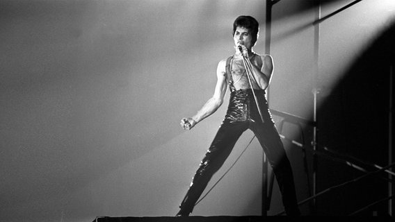 Freddie Mercury singt auf der Bühne © dpa Foto: Werner Baum