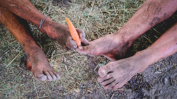 Schmutzige Füße geben eine Karotte weiter © NDR Foto: Benjamin Hüllenkremper