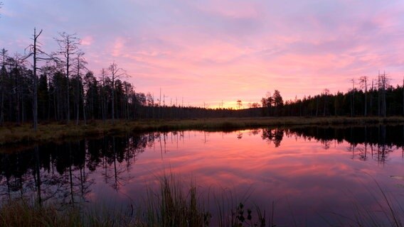Fluss in der finnischen Taiga © picture alliance / Westend61 | Christian Zappel 