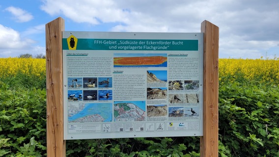Eine bunte Tafel informiert über den Lebensraum an der Ostsee. Eine bunte Tafel informiert über den Lebensraum an der Ostsee. © NDR Foto: Andrea Ring