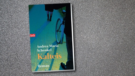 Buchcover: "Kalteis",  Andrea Marie Schenke © btb 