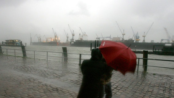 Ein Sturm peitscht über den Hamburger Hafen © dpa-Bildfunk Foto: Sebastian Widmann